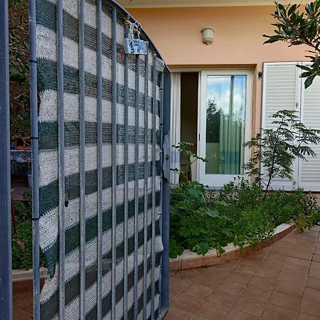 Pan Di Zucchero